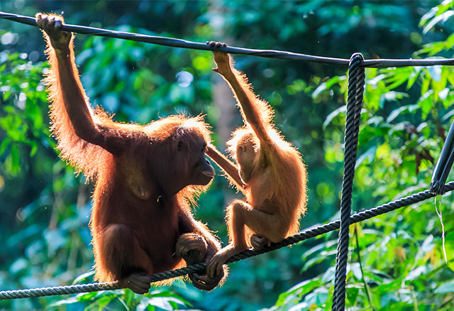環境への取り組み